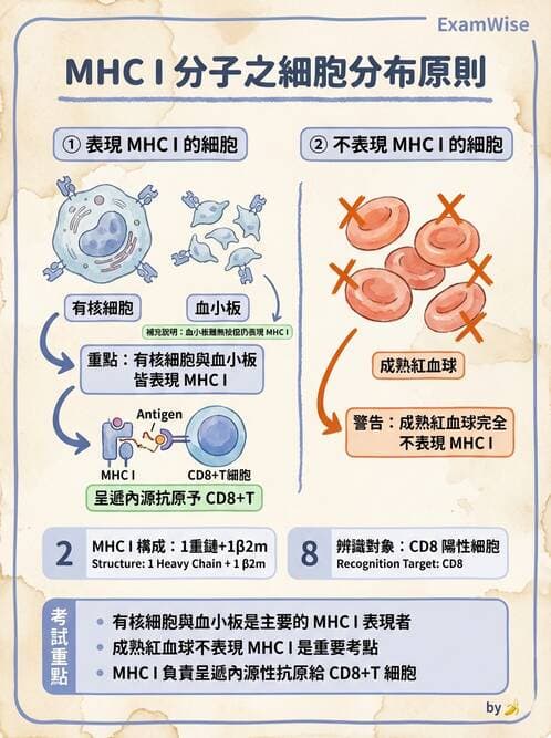 醫檢師 - 細胞激素與抗原呈獻 - AI 圖文解析預覽