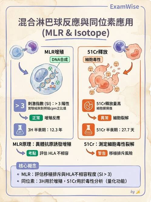 醫檢師 - 組織型與移植免疫學 - AI 圖文解析預覽