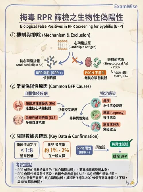 醫檢師 - 急性發炎蛋白與微生物感染血清學 - AI 圖文解析預覽