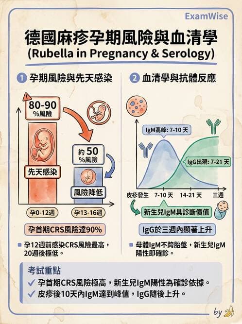 醫檢師 - 急性發炎蛋白與微生物感染血清學 - AI 圖文解析預覽