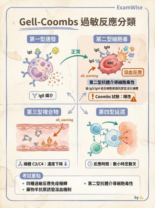 醫檢師 - 過敏反應及測試法 - AI 圖文解析預覽