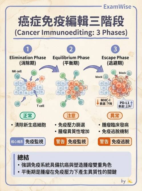 醫檢師 - 腫瘤免疫學免疫療法及疫苗 - AI 圖文解析預覽