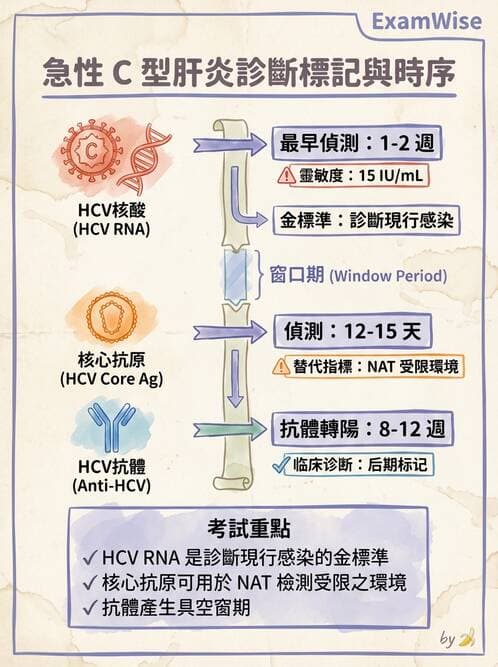 醫檢師 - 黃病毒科與蟲媒病毒 - AI 圖文解析預覽