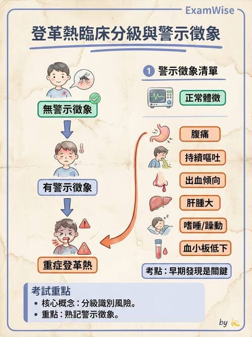 醫檢師 - 黃病毒科與蟲媒病毒 - AI 圖文解析預覽
