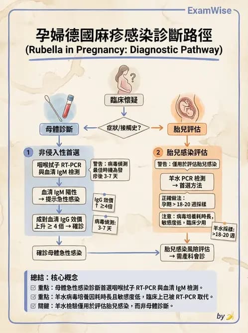 醫檢師 - 其他RNA病毒 - AI 圖文解析預覽