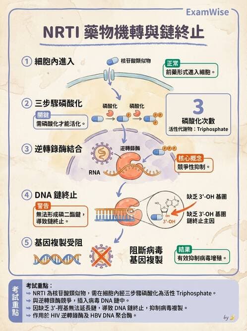 醫檢師 - 抗病毒藥物與疫苗通論 - AI 圖文解析預覽