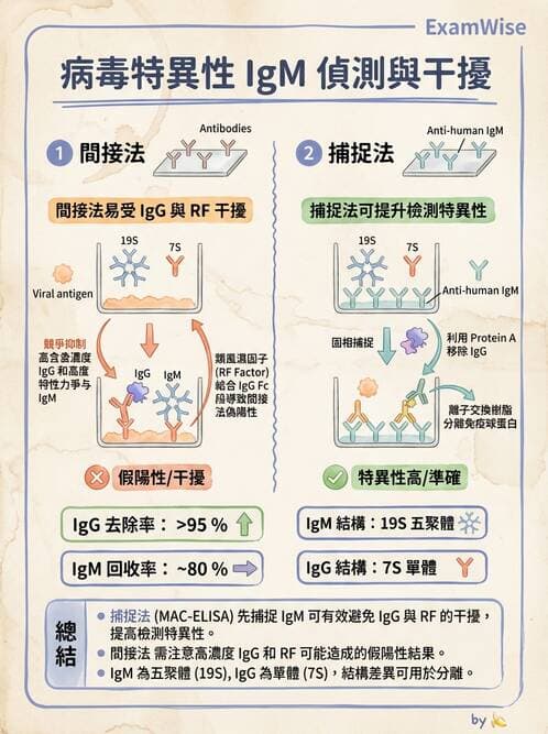 醫檢師 - 病毒檢驗技術 - AI 圖文解析預覽