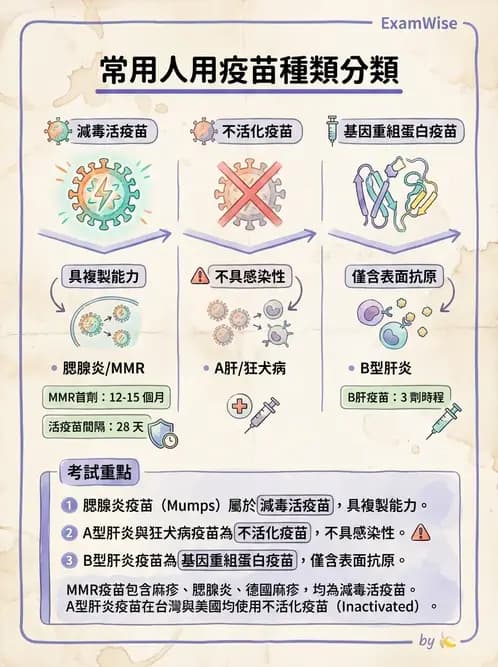 醫檢師 - 抗病毒藥物與疫苗通論 - AI 圖文解析預覽