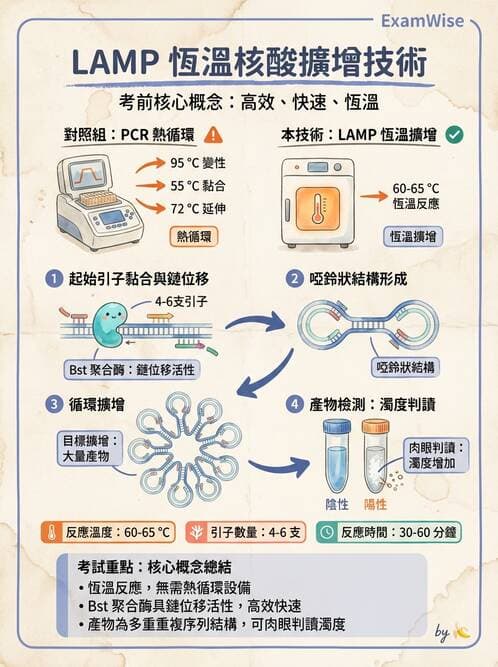 醫檢師 - 黃病毒科與蟲媒病毒 - AI 圖文解析預覽
