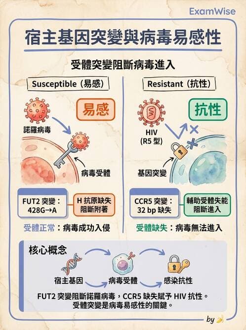醫檢師 - 其他RNA病毒 - AI 圖文解析預覽