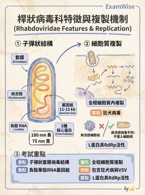 醫檢師 - 其他RNA病毒 - AI 圖文解析預覽
