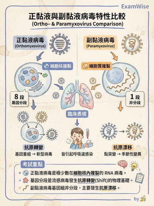 醫檢師 - 其他RNA病毒 - AI 圖文解析預覽