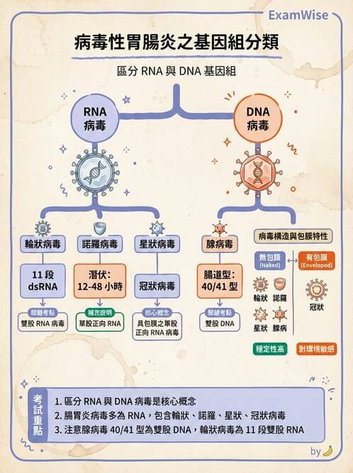醫檢師 - 其他RNA病毒 - AI 圖文解析預覽