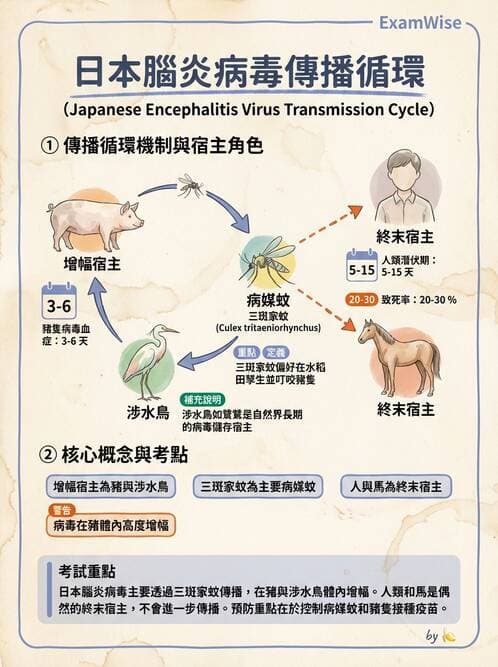醫檢師 - 黃病毒科與蟲媒病毒 - AI 圖文解析預覽