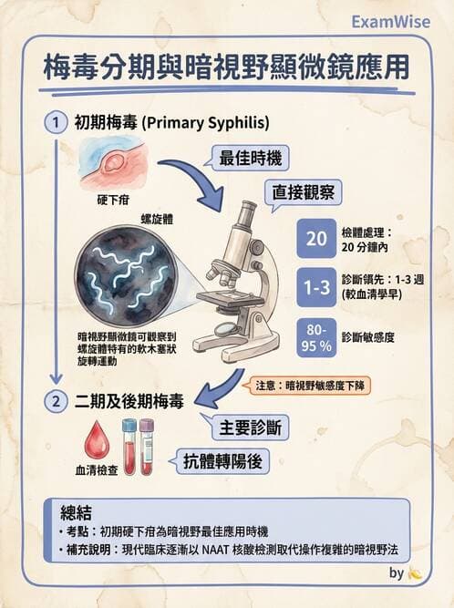 醫檢師 - 急性發炎蛋白與微生物感染血清學 - AI 圖文解析預覽