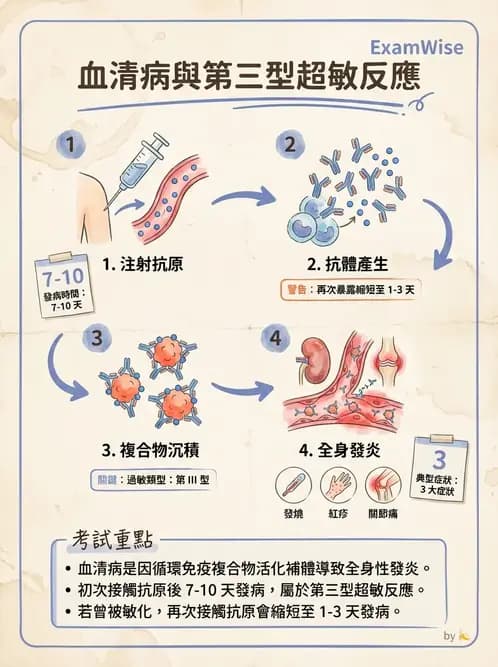 醫檢師 - 過敏反應及測試法 - AI 圖文解析預覽