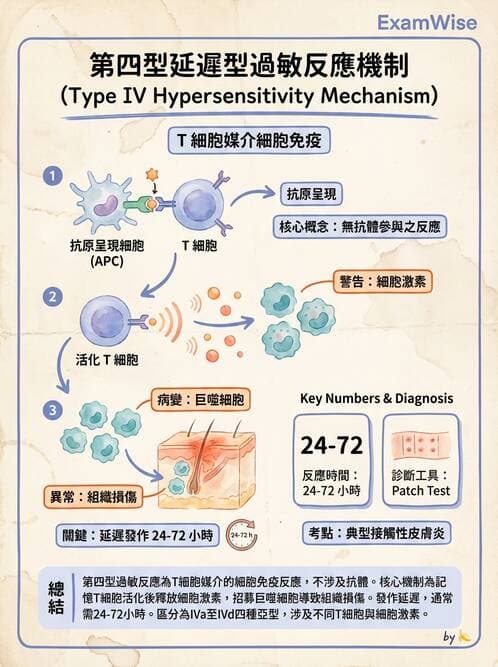 醫檢師 - 過敏反應及測試法 - AI 圖文解析預覽