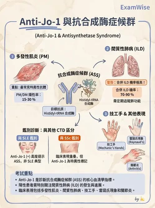 醫檢師 - 其他自體免疫疾病與自體抗體檢驗 - AI 圖文解析預覽