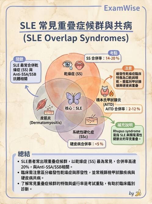 醫檢師 - 全身性紅斑性狼瘡與抗磷脂質症候群 - AI 圖文解析預覽