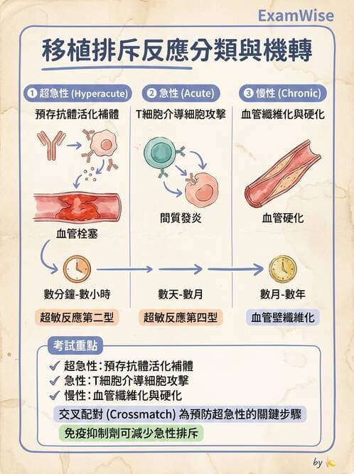 醫檢師 - 組織型與移植免疫學 - AI 圖文解析預覽