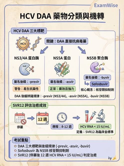 醫檢師 - 黃病毒科與蟲媒病毒 - AI 圖文解析預覽