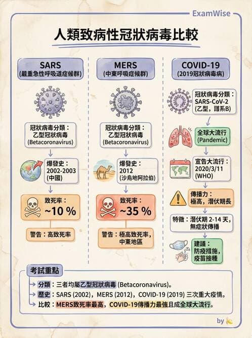 醫檢師 - 冠狀病毒科 - AI 圖文解析預覽