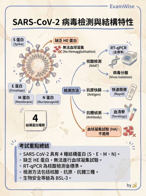 醫檢師 - 冠狀病毒科 - AI 圖文解析預覽