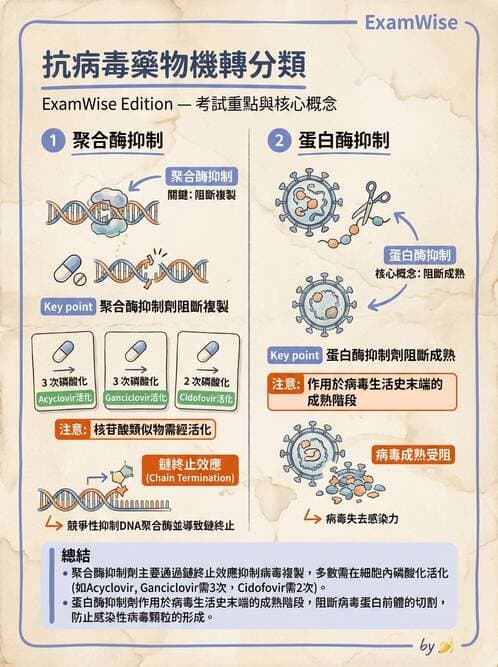 醫檢師 - 抗病毒藥物與疫苗通論 - AI 圖文解析預覽