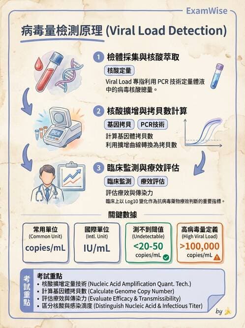醫檢師 - 病毒檢驗技術 - AI 圖文解析預覽