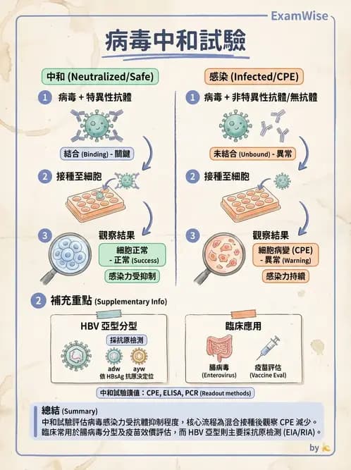 醫檢師 - 病毒檢驗技術 - AI 圖文解析預覽