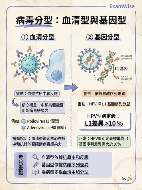 醫檢師 - 人類乳突病毒 - AI 圖文解析預覽
