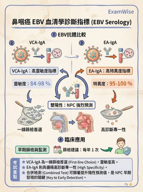醫檢師 - 疱疹病毒科 - AI 圖文解析預覽