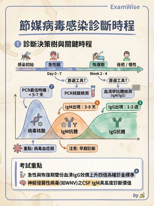 醫檢師 - 黃病毒科與蟲媒病毒 - AI 圖文解析預覽