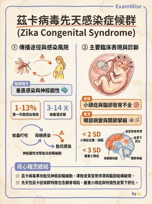 醫檢師 - 黃病毒科與蟲媒病毒 - AI 圖文解析預覽