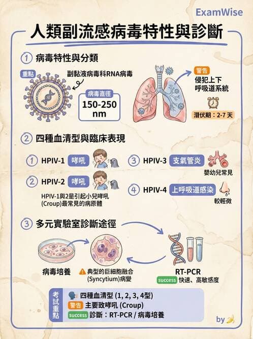 醫檢師 - 副黏液病毒科 - AI 圖文解析預覽