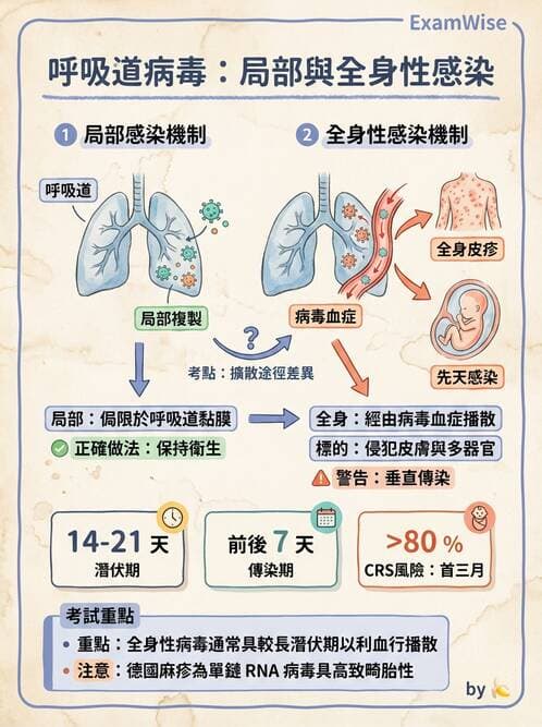醫檢師 - 副黏液病毒科 - AI 圖文解析預覽