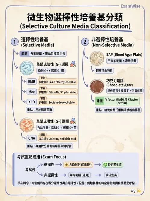 醫檢師 - 檢驗基礎技術 - AI 圖文解析預覽