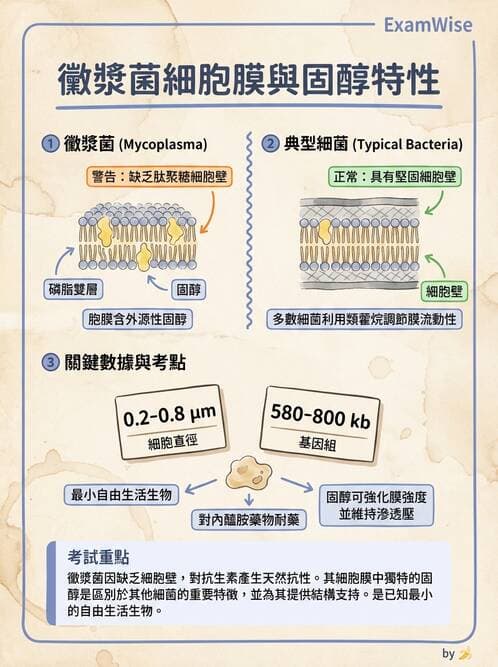 醫檢師 - 實驗室安全與微生物特性 - AI 圖文解析預覽