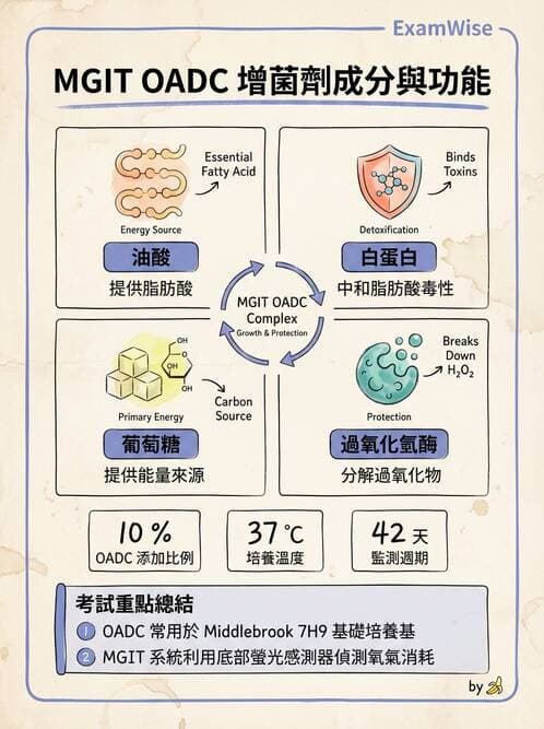醫檢師 - 分枝桿菌 - AI 圖文解析預覽