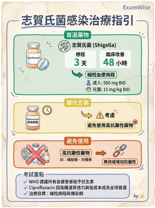 醫檢師 - 主要腸道致病菌 - AI 圖文解析預覽