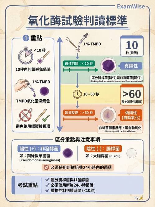 醫檢師 - 非發酵菌 - AI 圖文解析預覽
