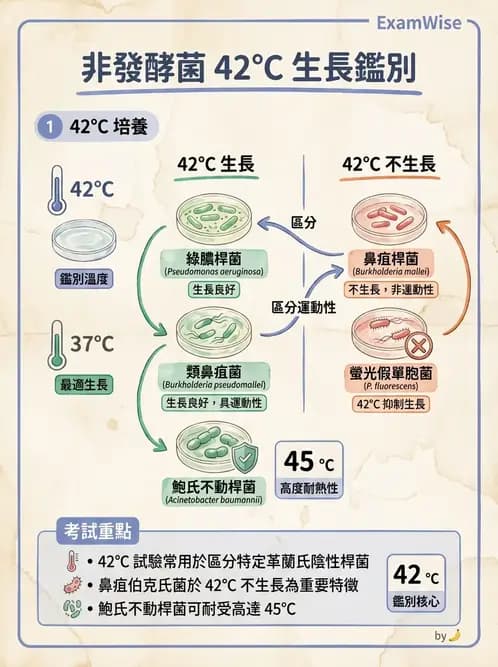 醫檢師 - 非發酵菌 - AI 圖文解析預覽