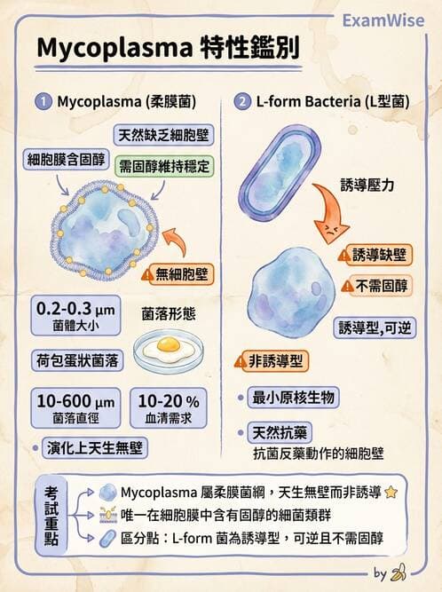 醫檢師 - 特殊病原體 - AI 圖文解析預覽