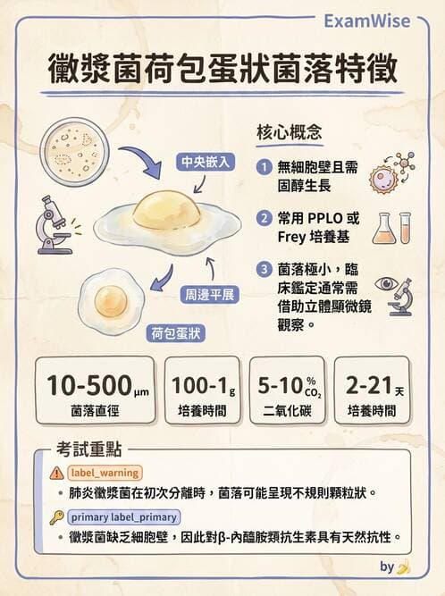 醫檢師 - 特殊病原體 - AI 圖文解析預覽