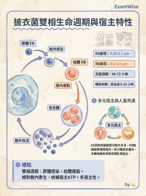 醫檢師 - 特殊病原體 - AI 圖文解析預覽