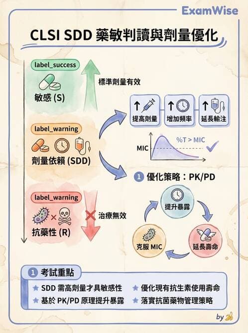 醫檢師 - 藥敏試驗方法 - AI 圖文解析預覽