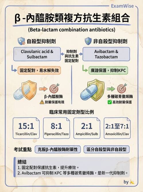 醫檢師 - 抗微生物製劑 - AI 圖文解析預覽