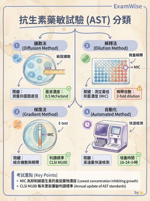 醫檢師 - 藥敏試驗方法 - AI 圖文解析預覽