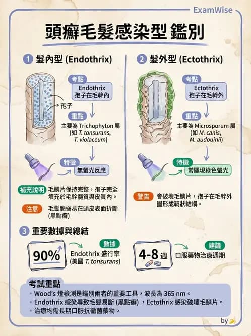 醫檢師 - 真菌診斷與治療 - AI 圖文解析預覽