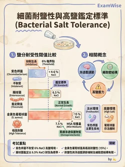 醫檢師 - 實驗室安全與微生物特性 - AI 圖文解析預覽